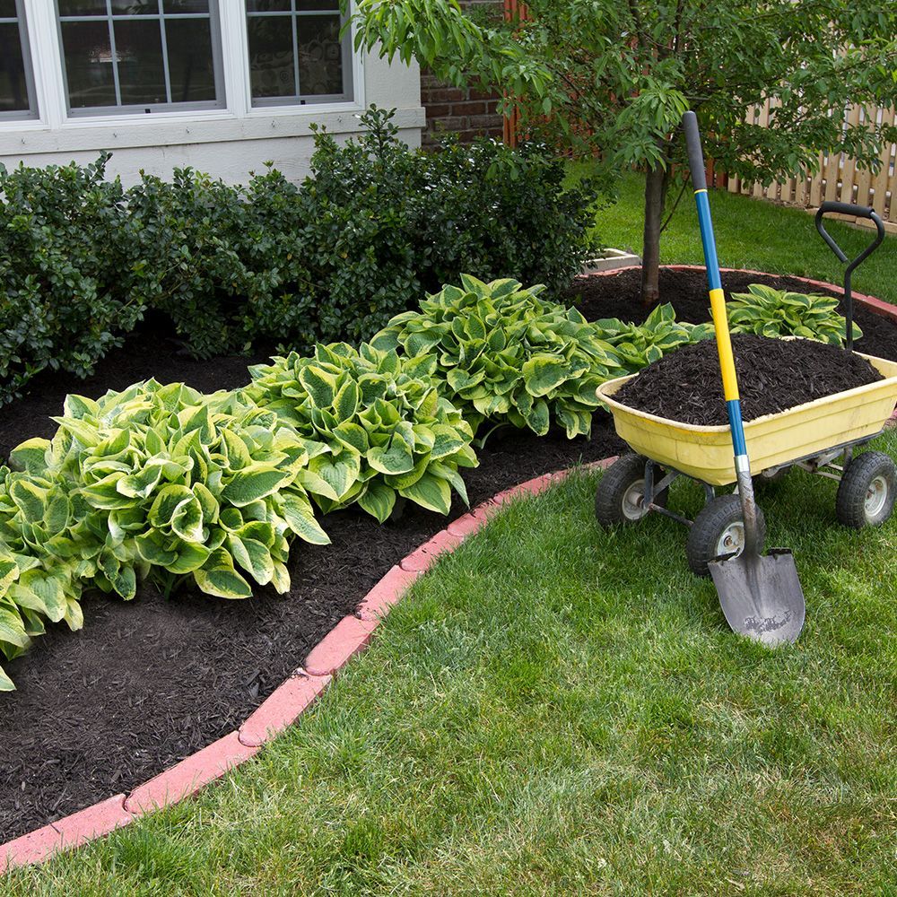 A garden bed with mulch and a wheelbarrow filled with more mulch, with a shovel leaning against it.