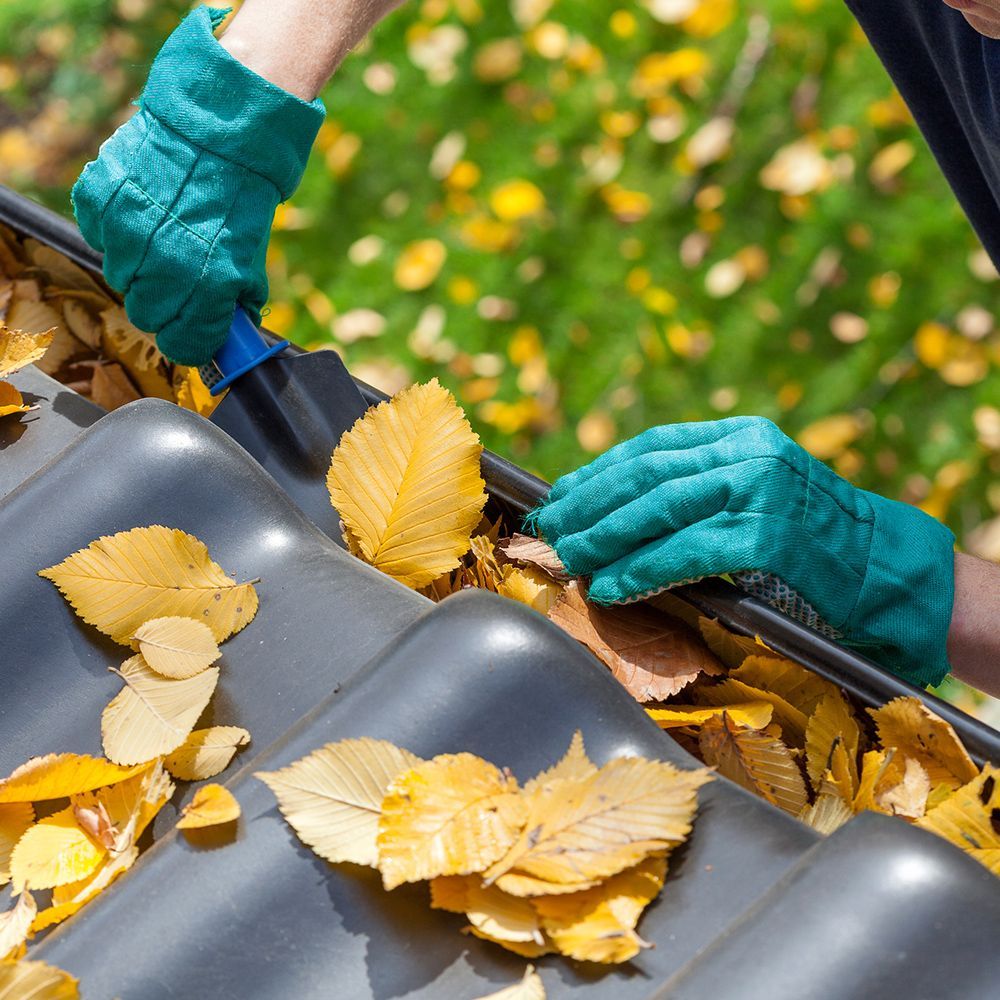 Person wearing green gloves cleaning a gutter filled with yellow leaves.