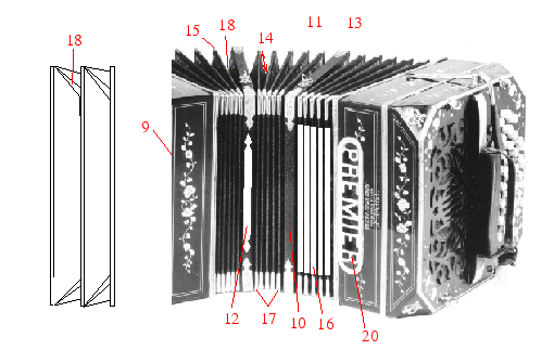 Information about free-reed musical instruments.