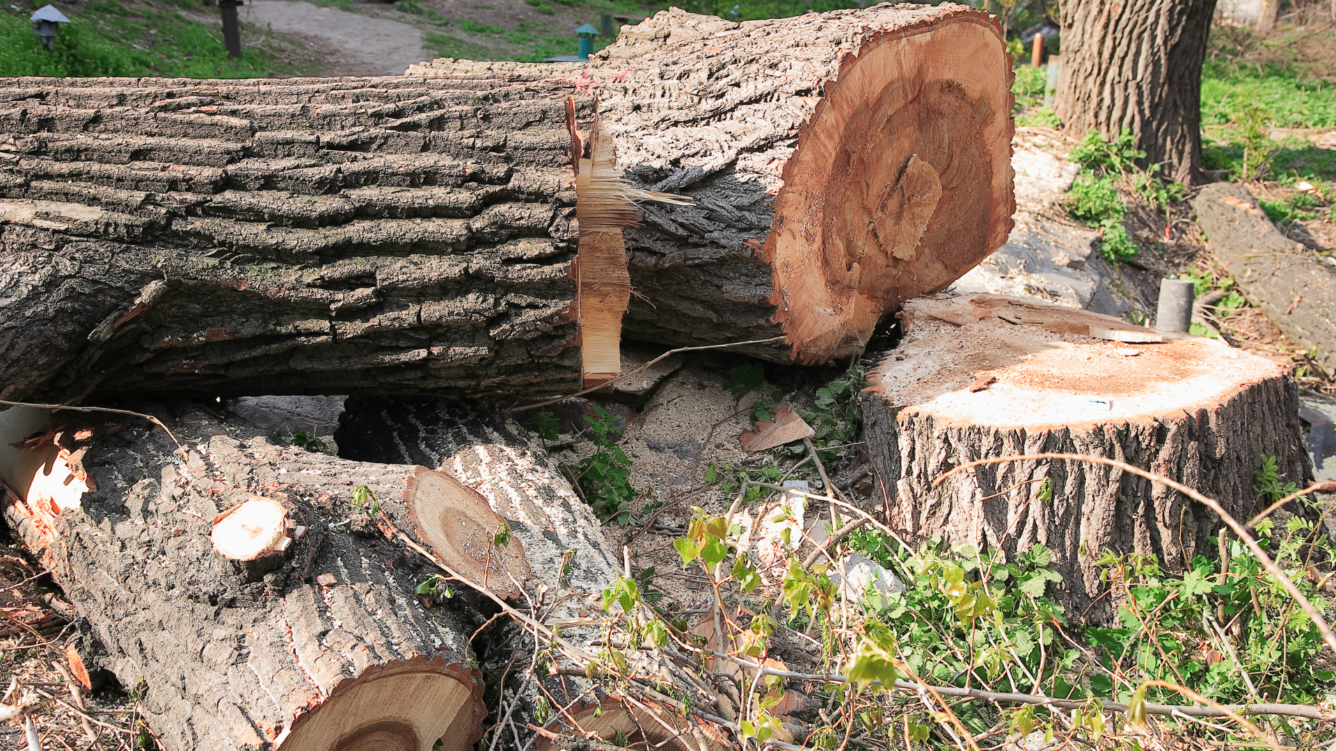 A pile of logs sitting on top of each other in the grass.