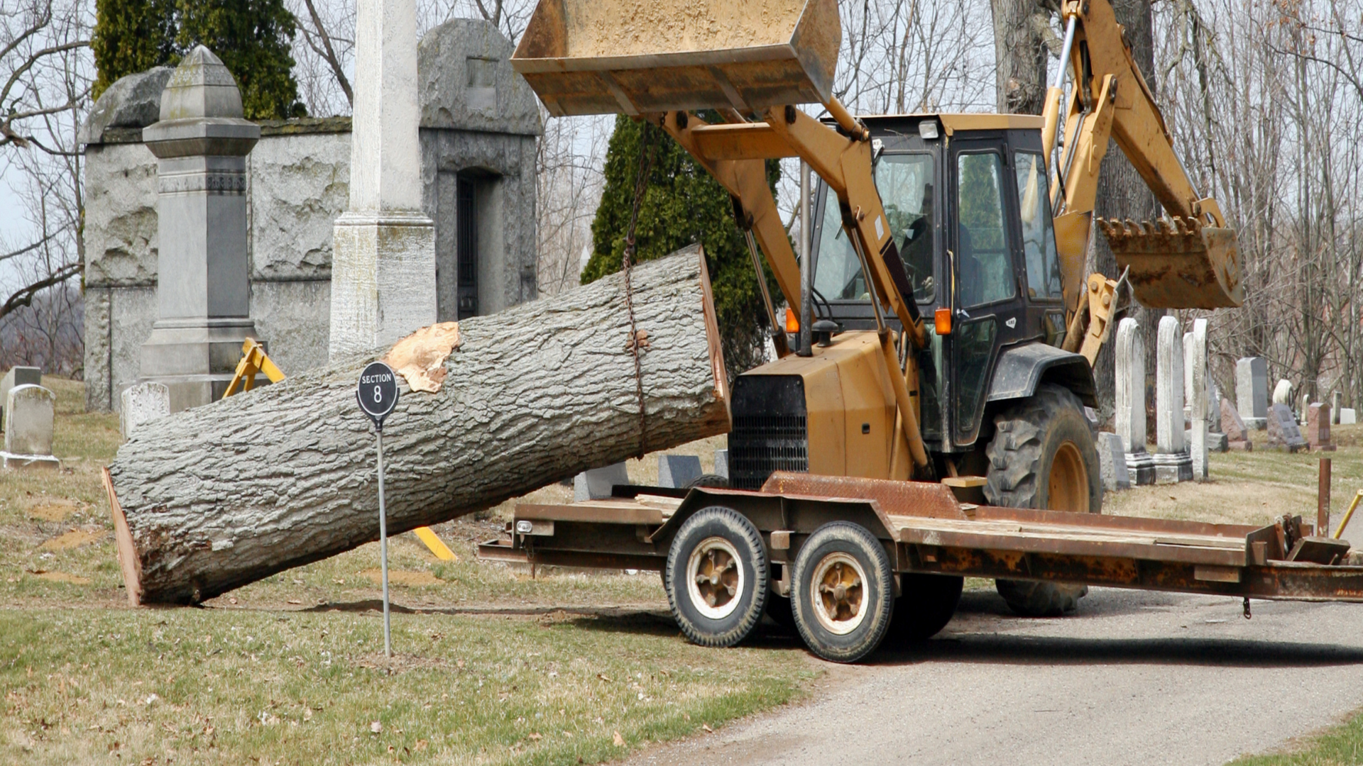 A tractor is carrying a large log on a trailer.