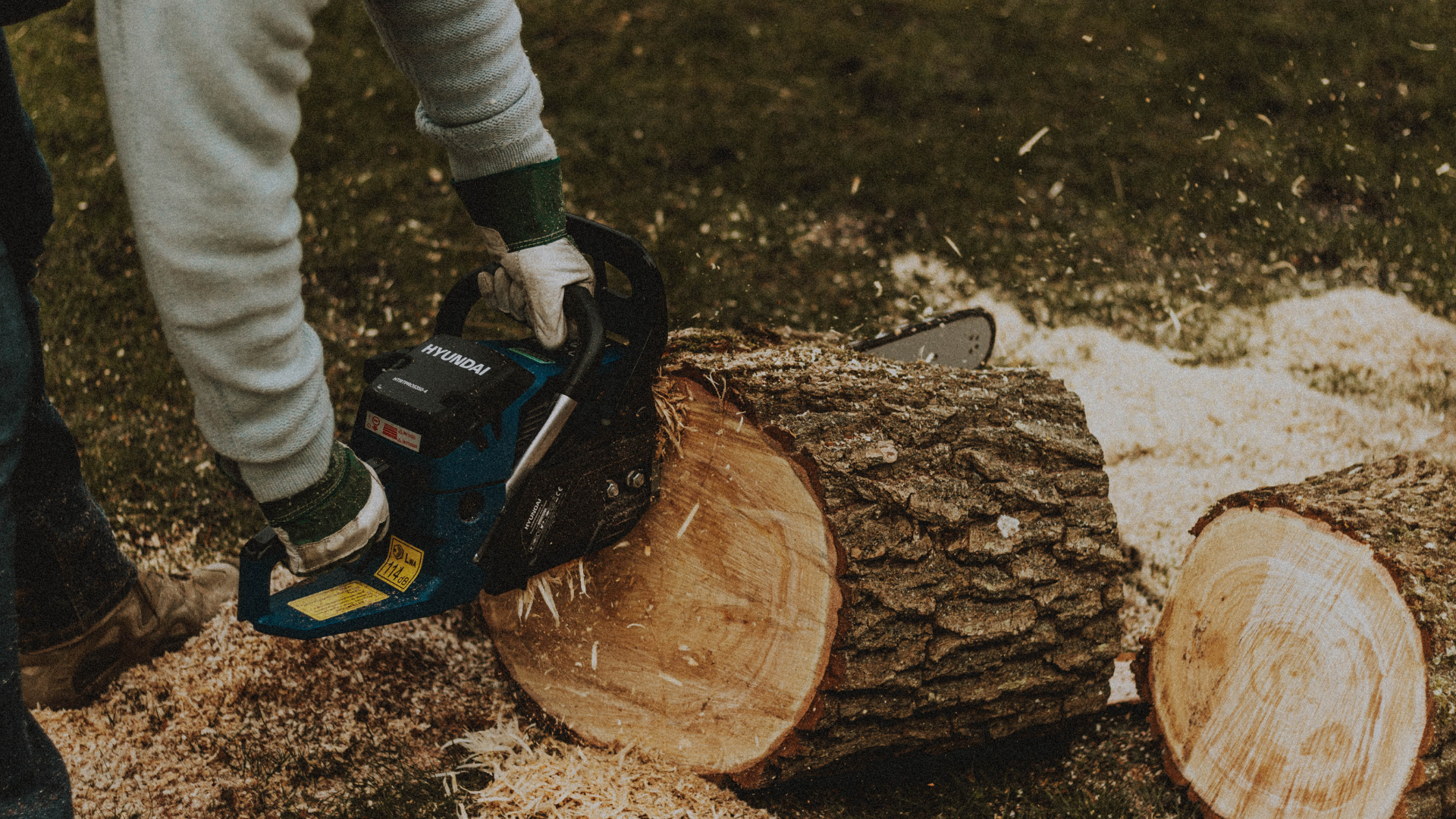 A person is cutting a log with a chainsaw.