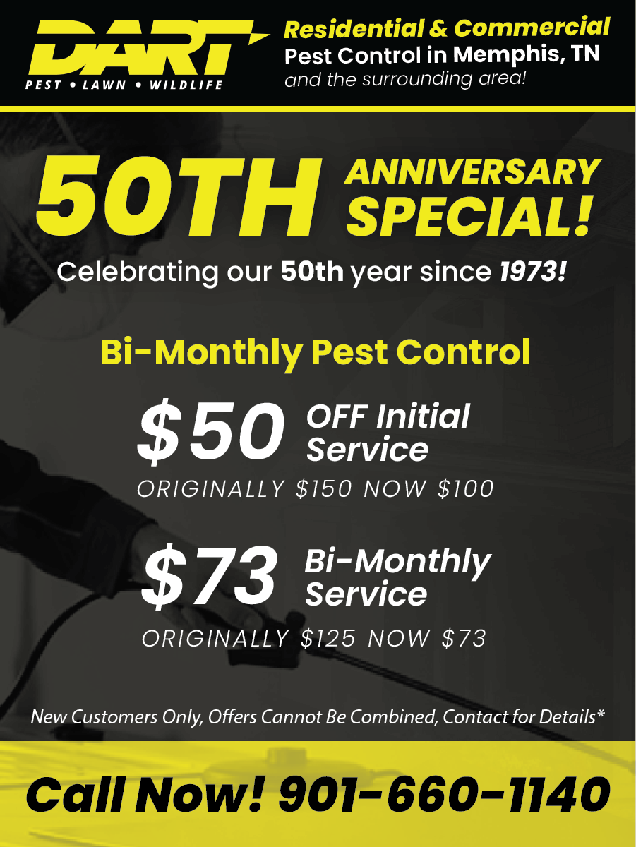 Best in Pest Control in Memphis Dart Pest Control