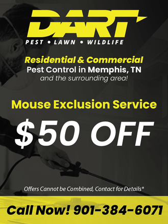 Pest Control Services Memphis, TN