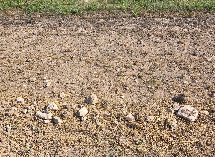 A dirt field with rocks and grass in the background.