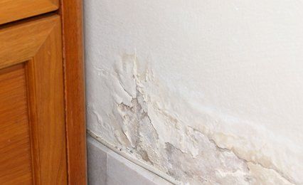 damp proofing treatment