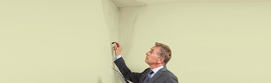 damp proofing specialist