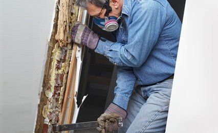 timber treatment specialists