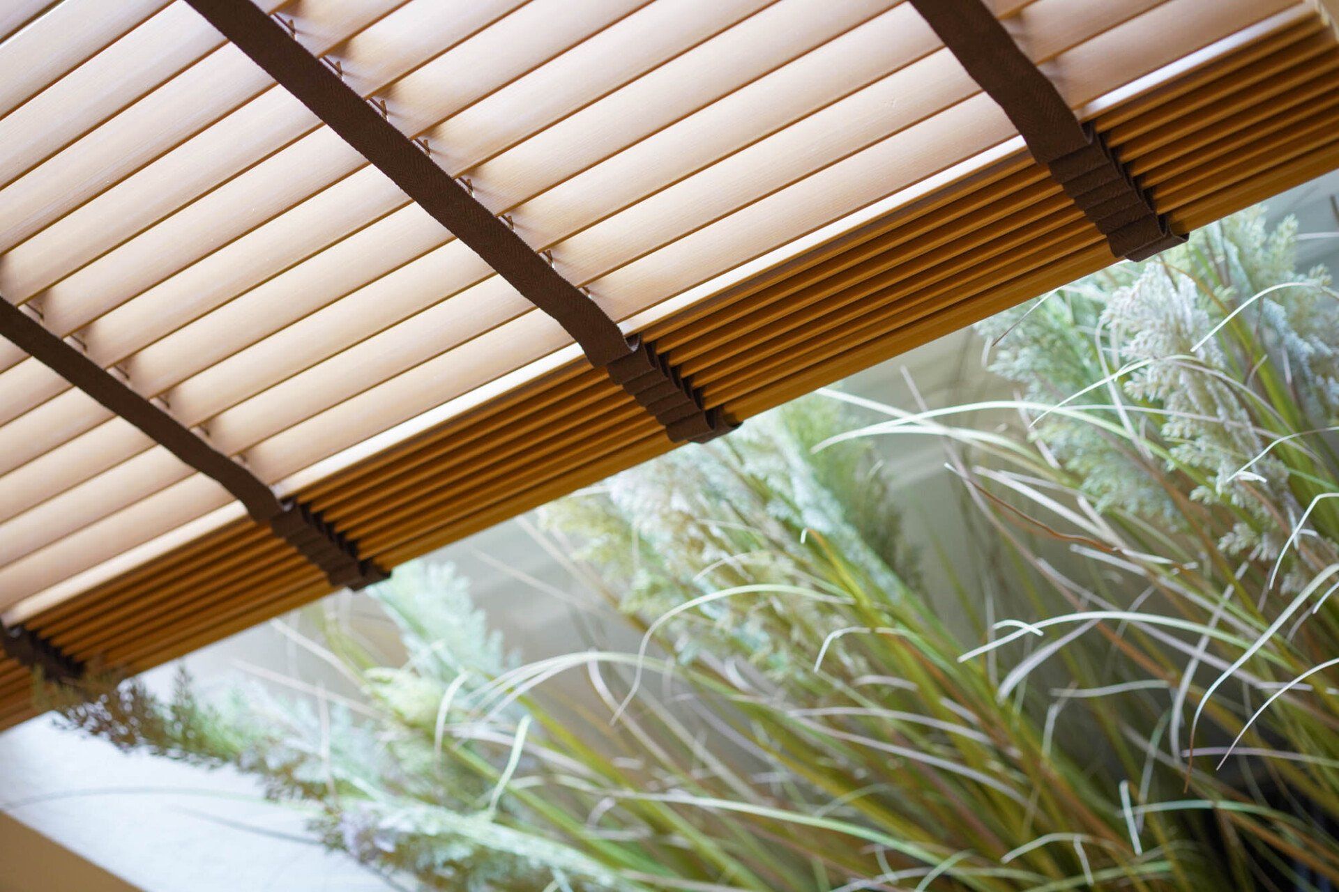 Pflanzen vor dem Fenster