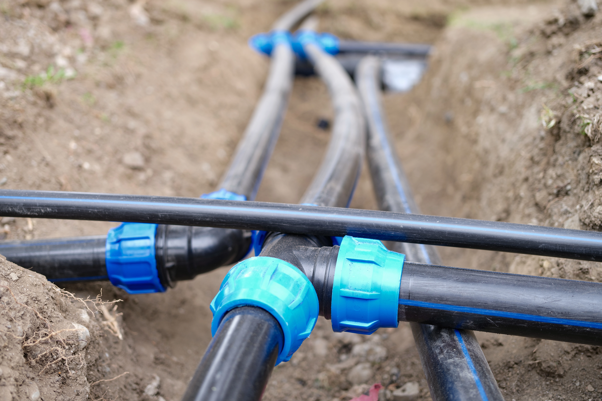 Black pipes with blue connectors in a dirt trench, likely for irrigation or utilities.