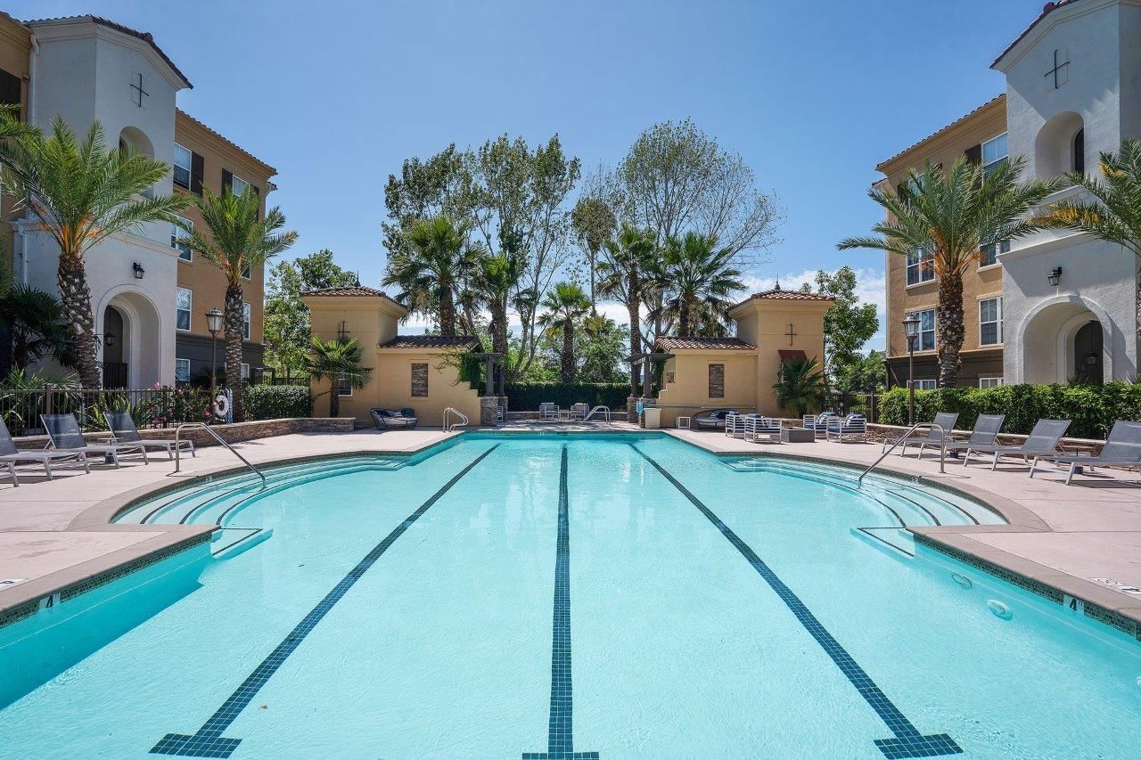 Outdoor apartment community pool with palm trees, lounge chairs, and surrounding buildings.