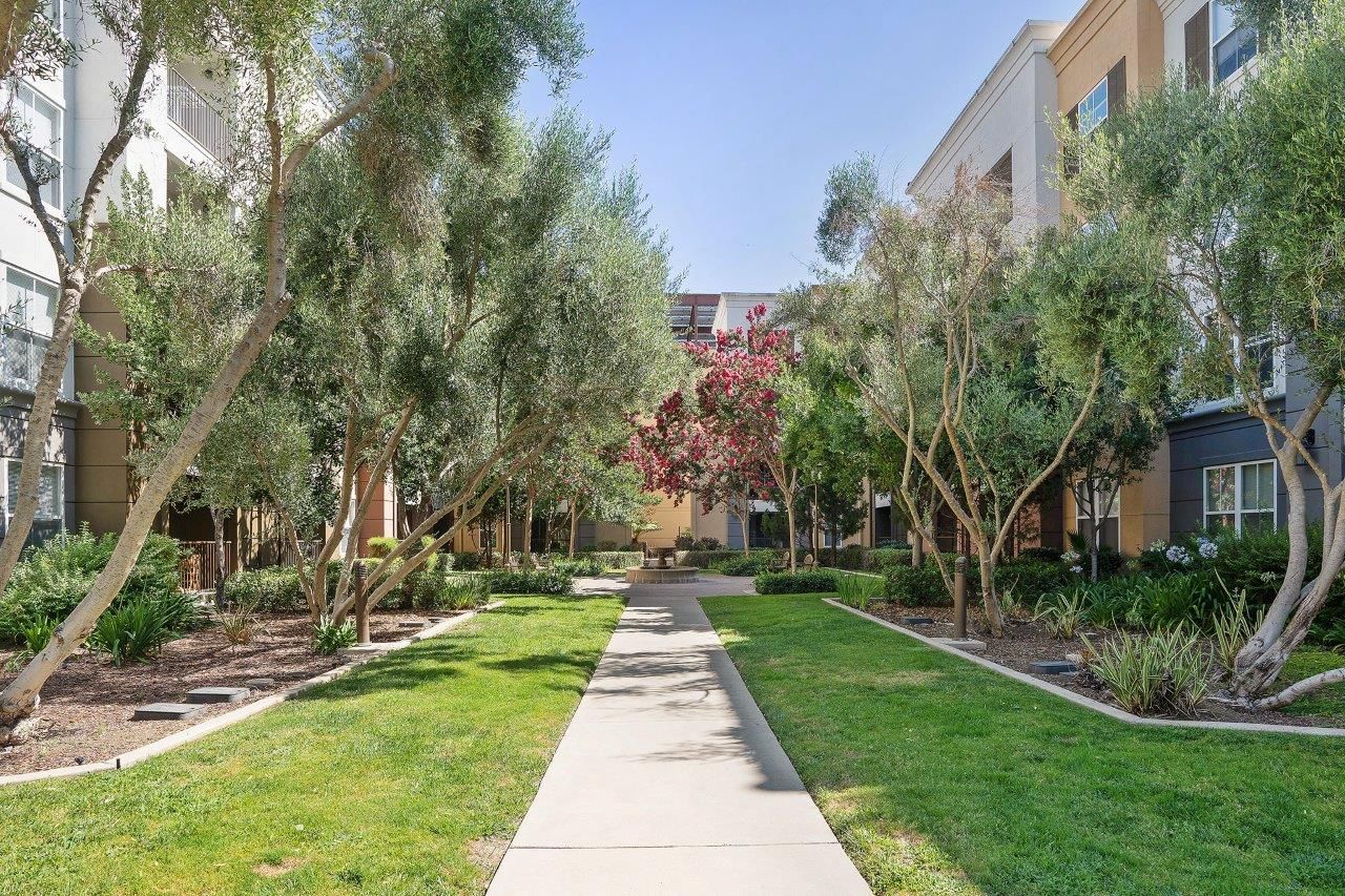 Sunlit apartment courtyard with a central concrete path, green lawn, and trees beside buildings.