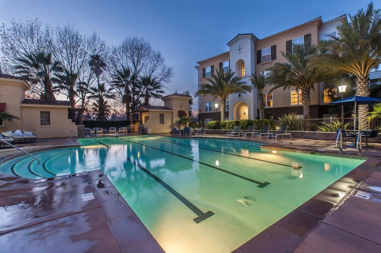 Outdoor apartment community pool with lounge chairs and palm trees at dusk.