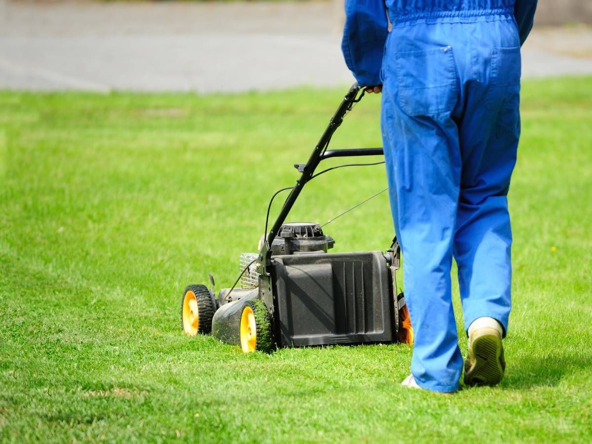 J&Z Fencing Penarth mowing a lawn