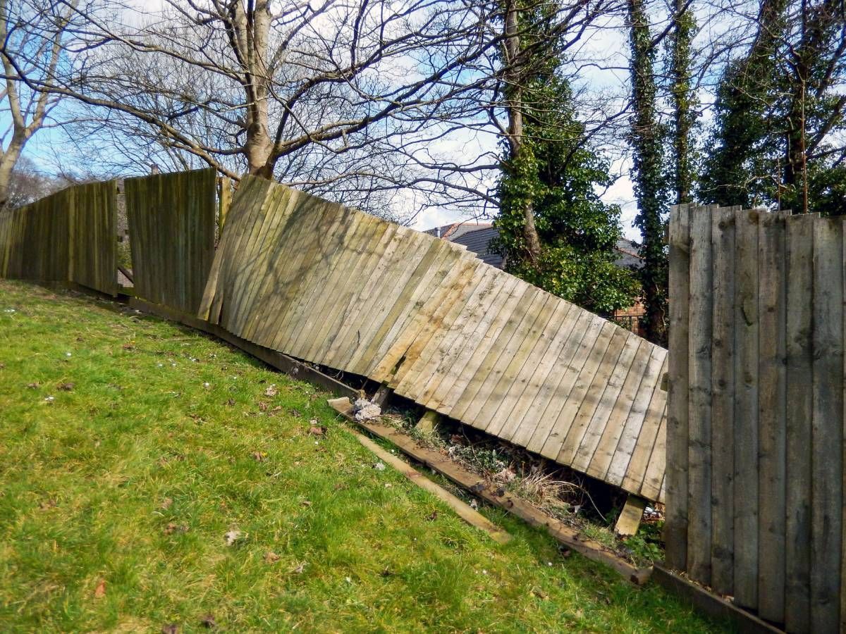 J&Z Fencing before a fence repair in Cardiff