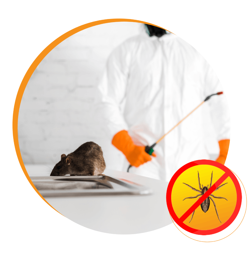 Nasties Pest Control