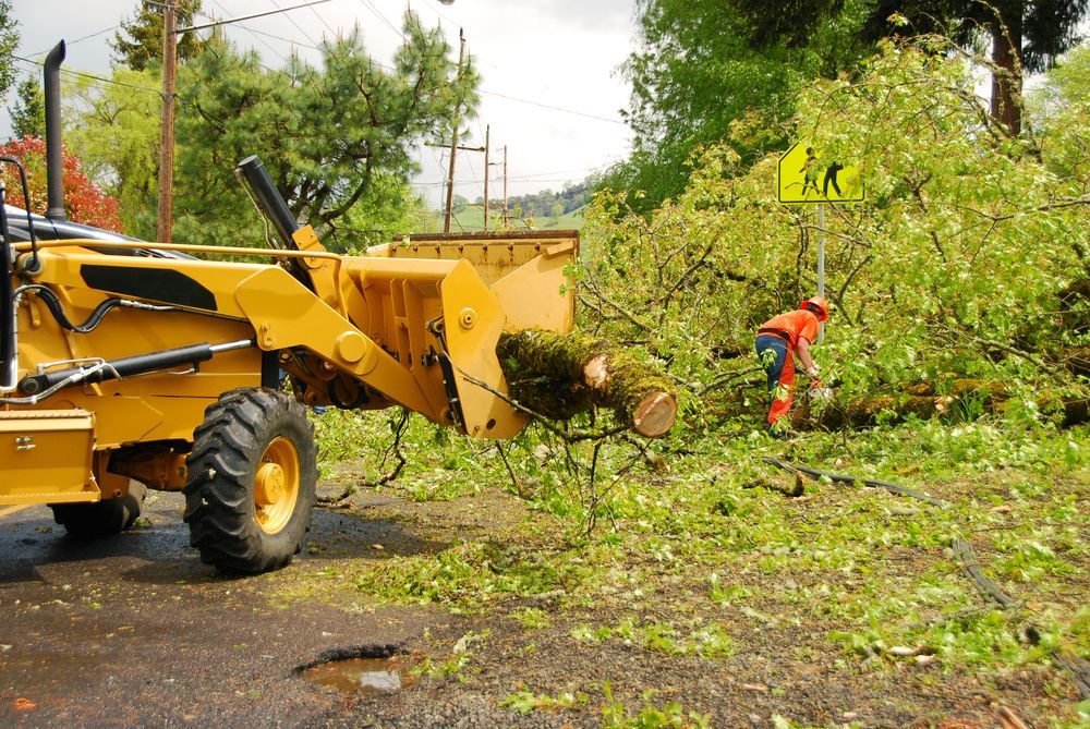 Yellow Wood Chipper Processing a Tree, Person in Orange Tending — Summit Tree Services in Glenwood, QLD