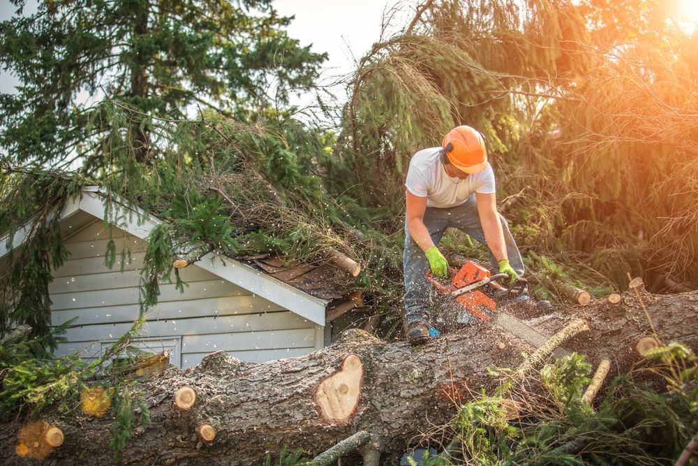 Man in Safety Gear Using a Chainsaw to Cut a Fallen Tree on a House Roof — Summit Tree Services in Yandina, QLD