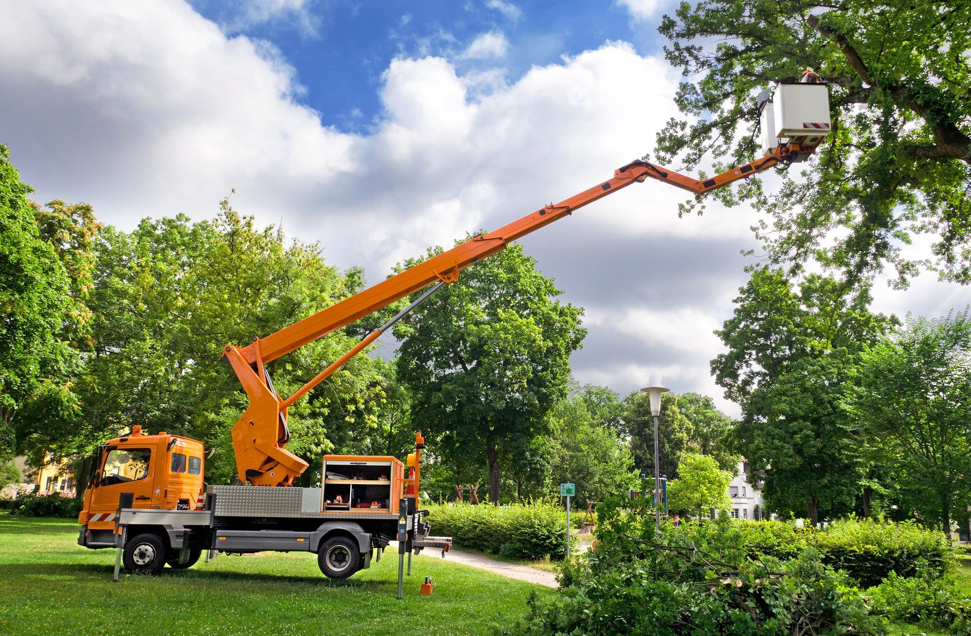 Orange Tree Trimming Truck Extending Towards a Tree in a Park — Summit Tree Services in Glenwood, QLD