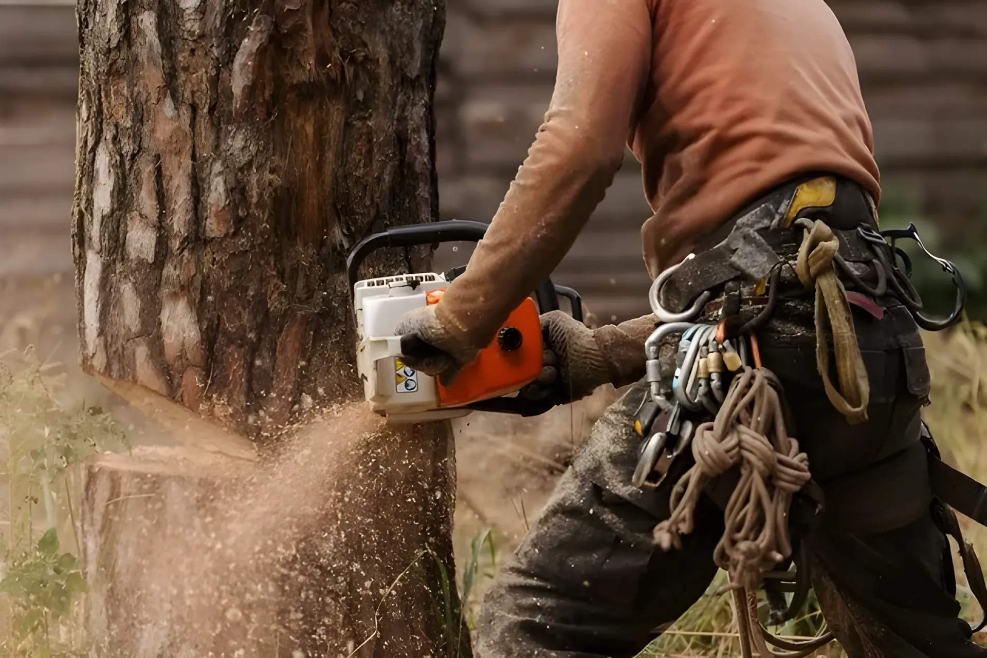 Person Using Chainsaw to Cut a Tree Trunk; Sawdust Flies — Summit Tree Services in Glenwood, QLD
