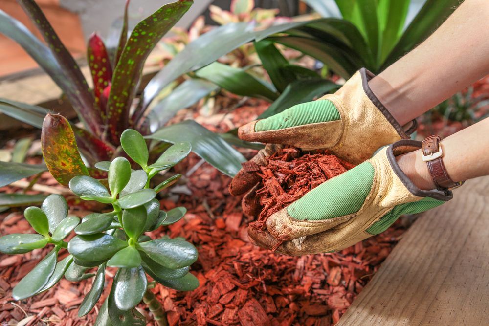 Hands in Gardening Gloves Adding Red Mulch to a Garden Bed With Plants — Summit Tree Services in Landsborough, QLD