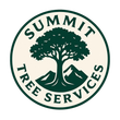 Arborists on the Sunshine Coast
