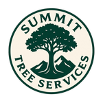 Arborists on the Sunshine Coast