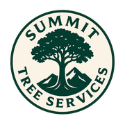 Arborists on the Sunshine Coast