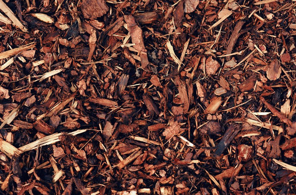 Close-up of Brown Mulch With Varying Sizes of Wood Chips and Bark — Summit Tree Services in Yandina, QLD