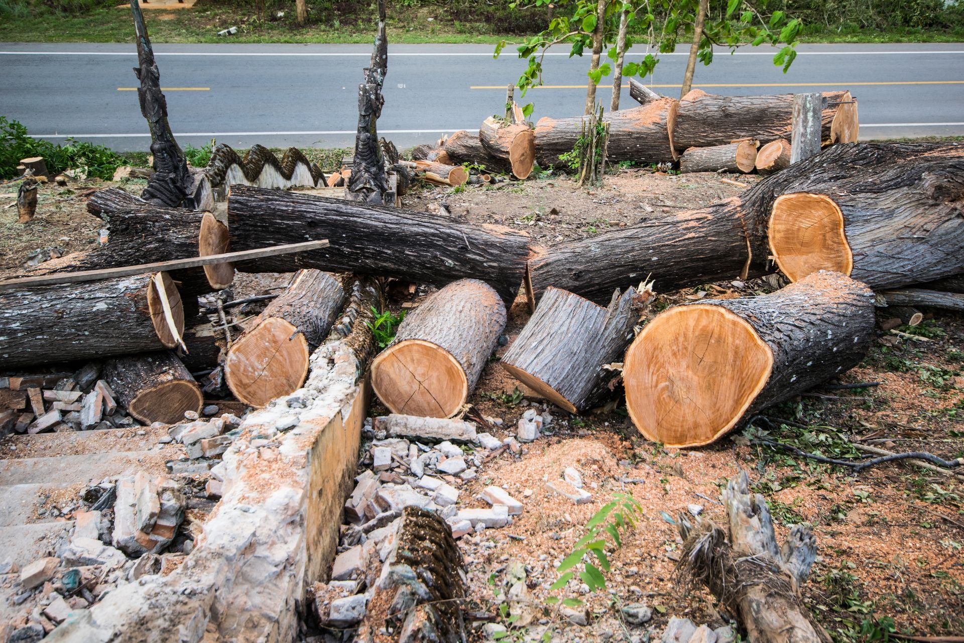 Logs and Debris on Ground Next to a Road, Likely From Felled Trees — Summit Tree Services in Glenwood, QLD