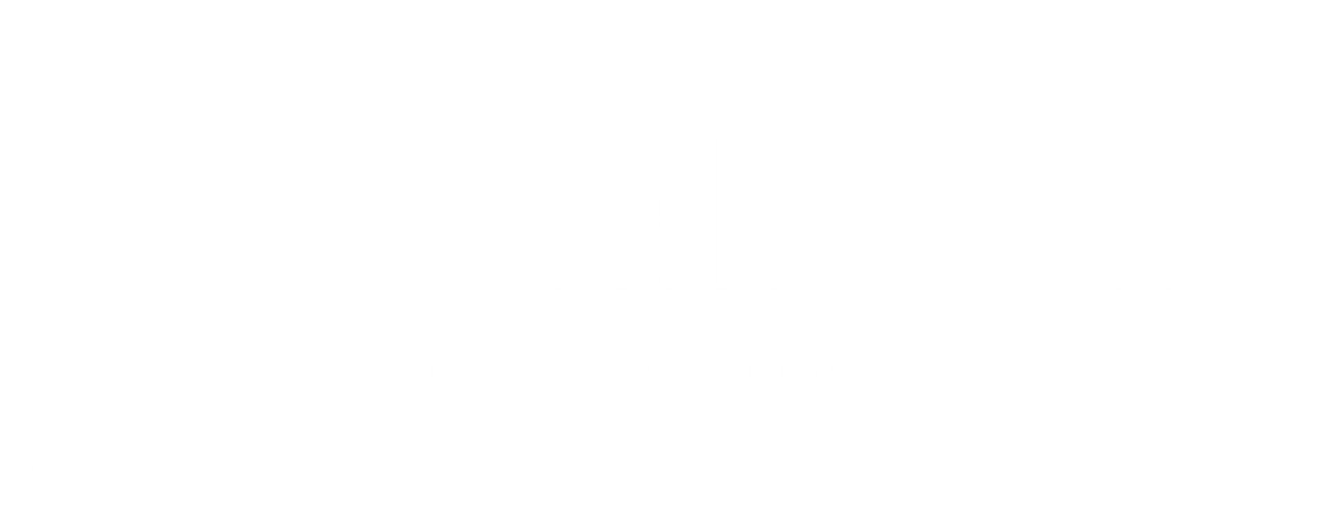 Skillscale