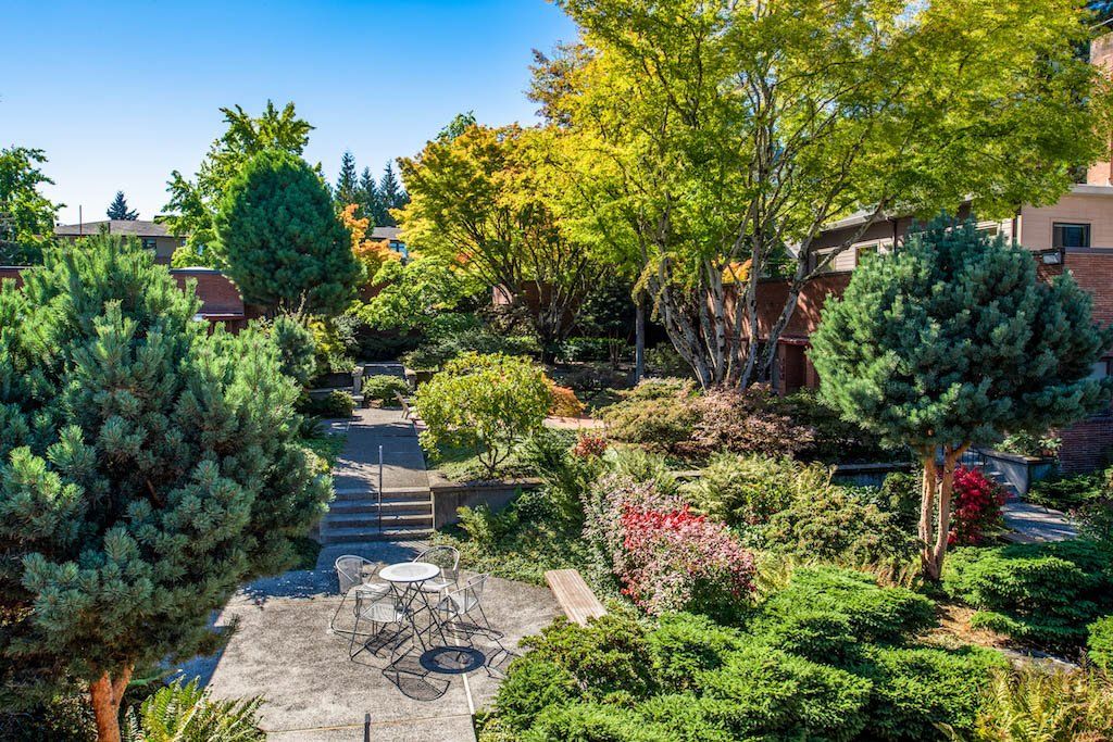 Marshall Street Professional Building Courtyard