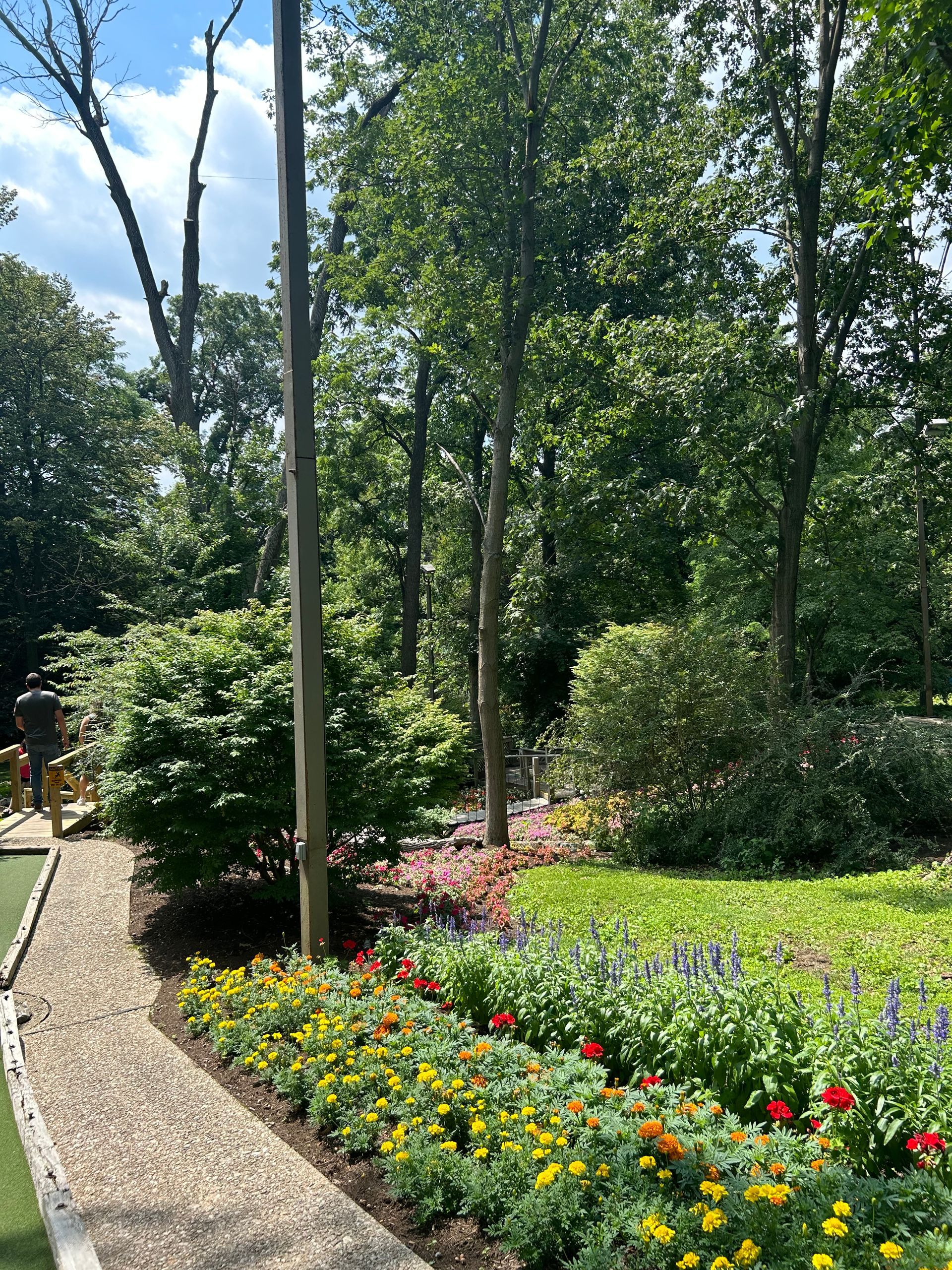 A garden with flowers and trees on a sunny day