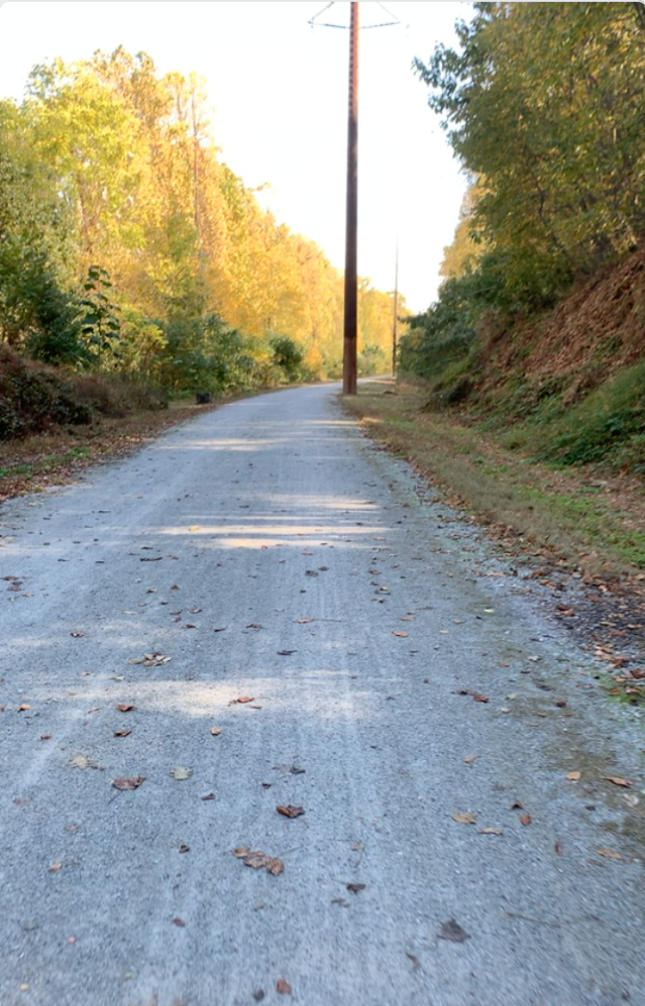 A dirt road with a telephone pole on the side of it
