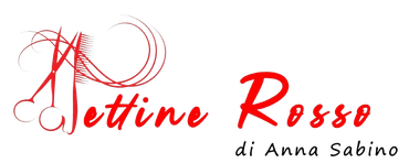 logo pettine rosso