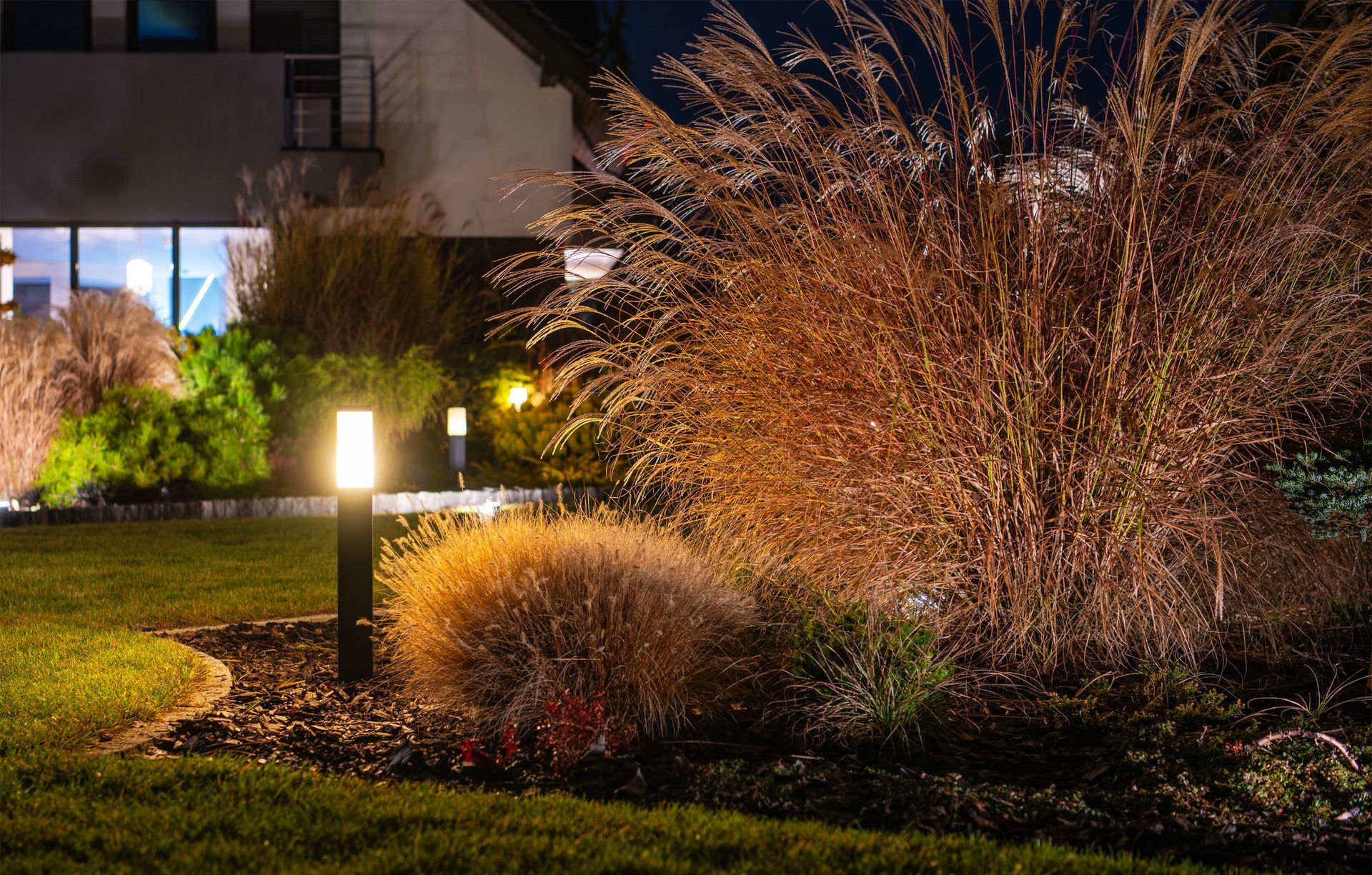 Night garden with lit pathway lamps, ornamental grasses, and a house in the background