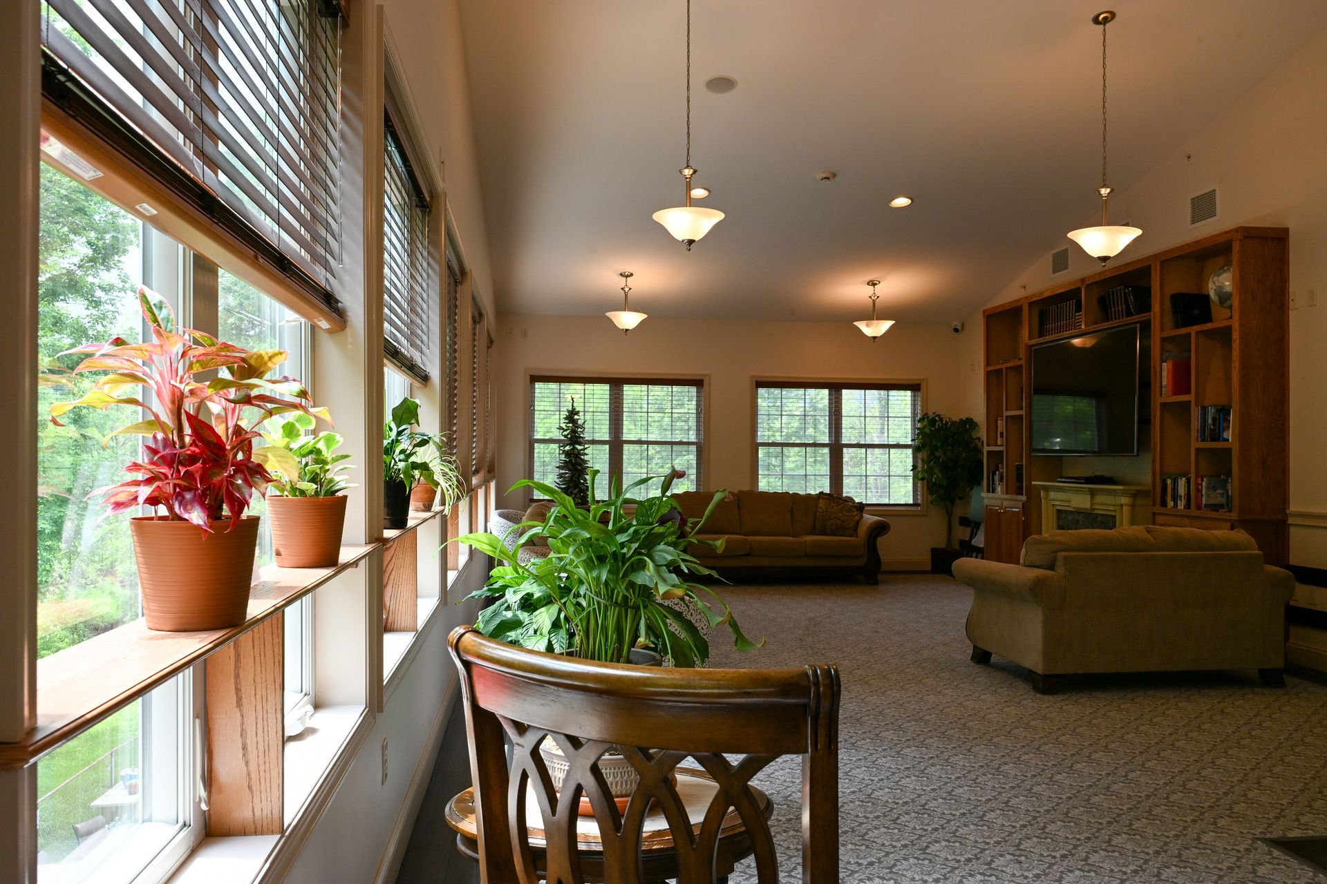 A bright, sunny interior room with a row of plants by the window.  Two couches and a chair.