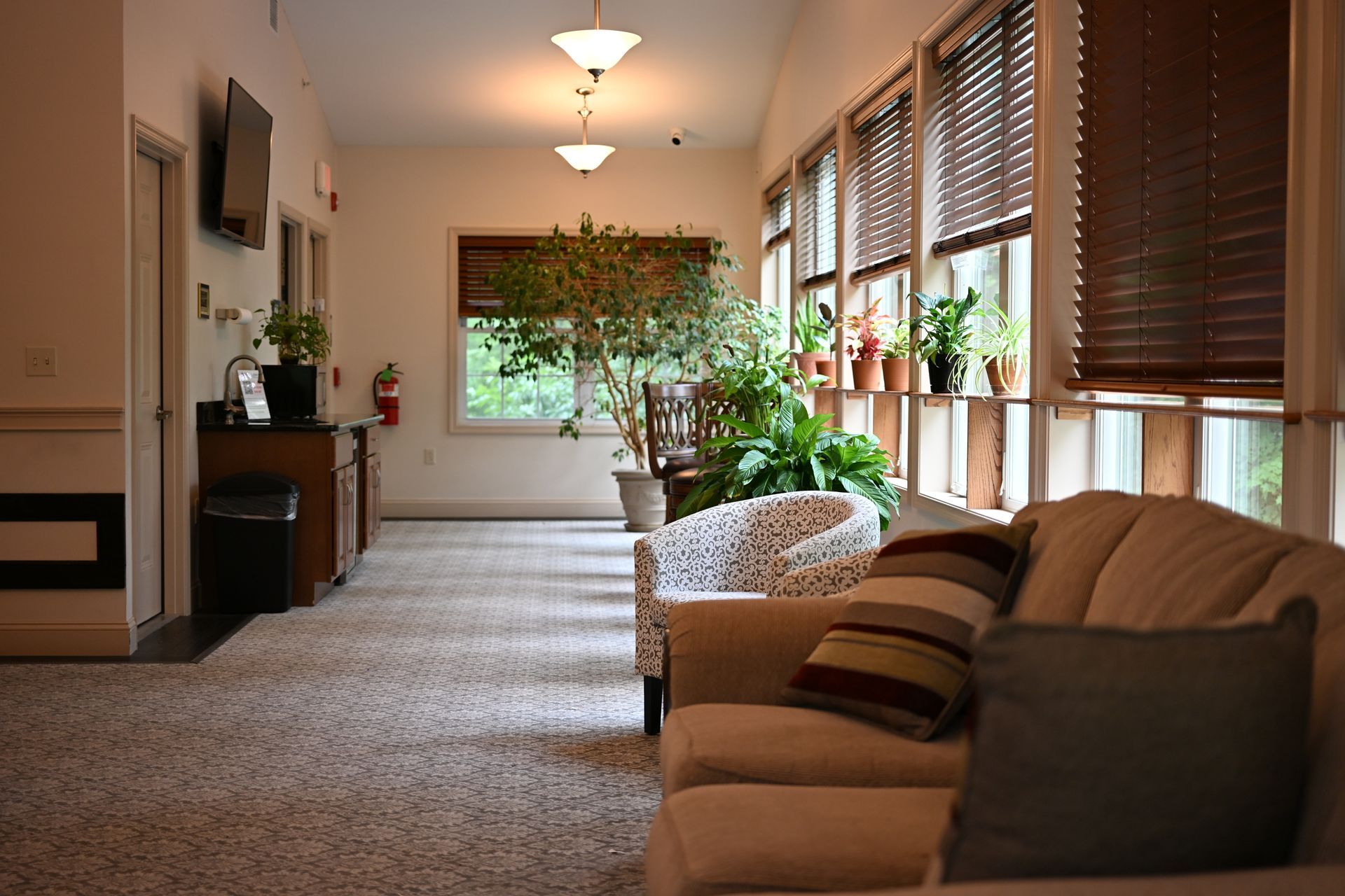 Cozy waiting room with beige sofa, patterned chair, and plants by a window; a hallway with a refreshment area.
