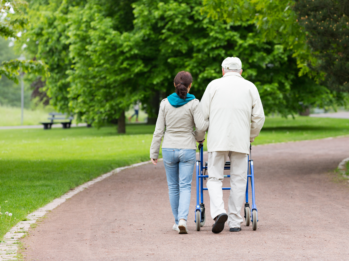 Young woman helps elderly man with walker stroll on path in park. Young woman helps elderly man with walker stroll on path in park.