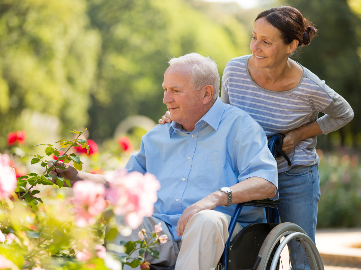 Older man in wheelchair examines roses with help from smiling woman in a sunny garden.