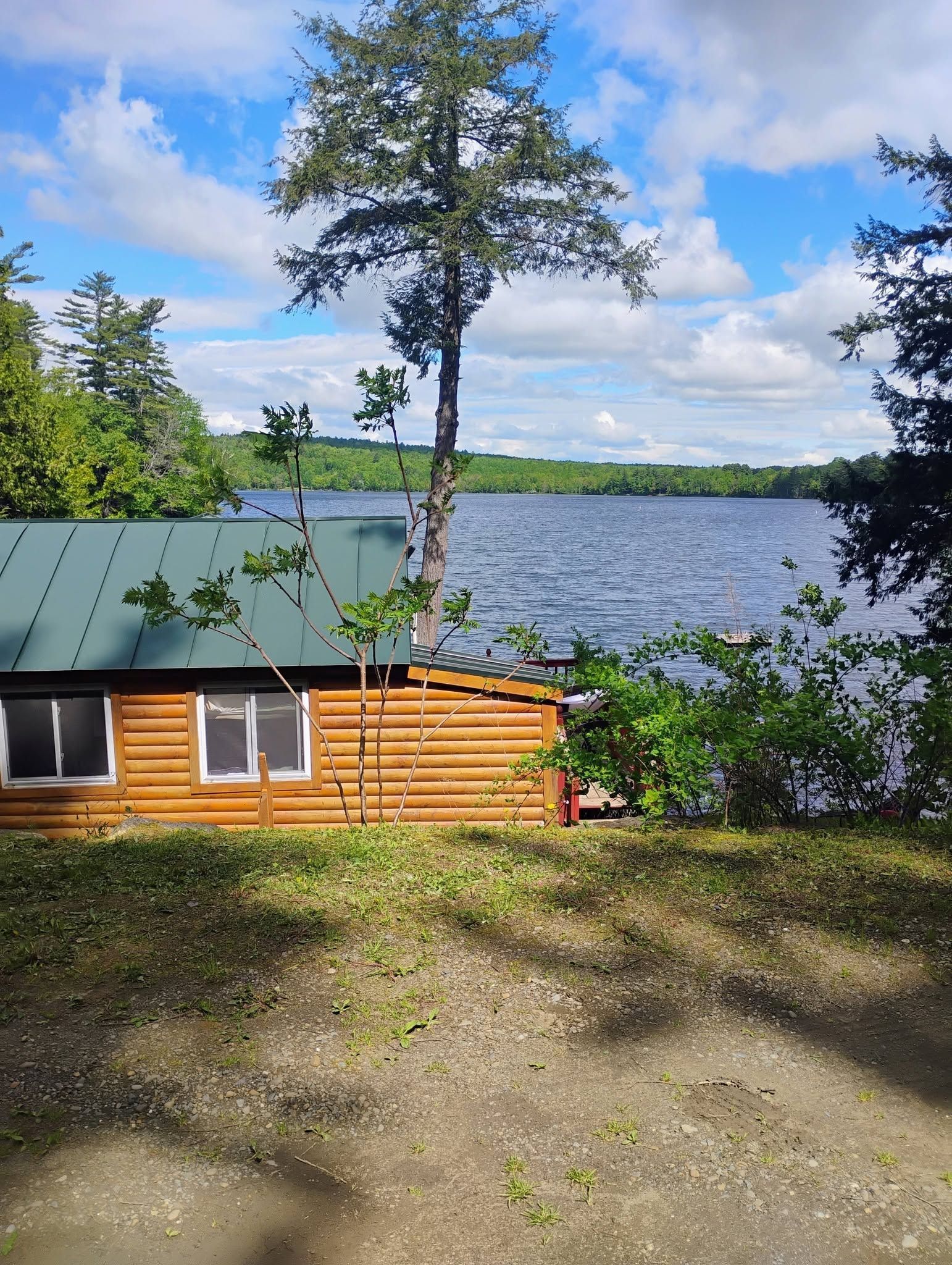 Log cabin by a lake with a green roof, pine trees, and a blue sky with clouds