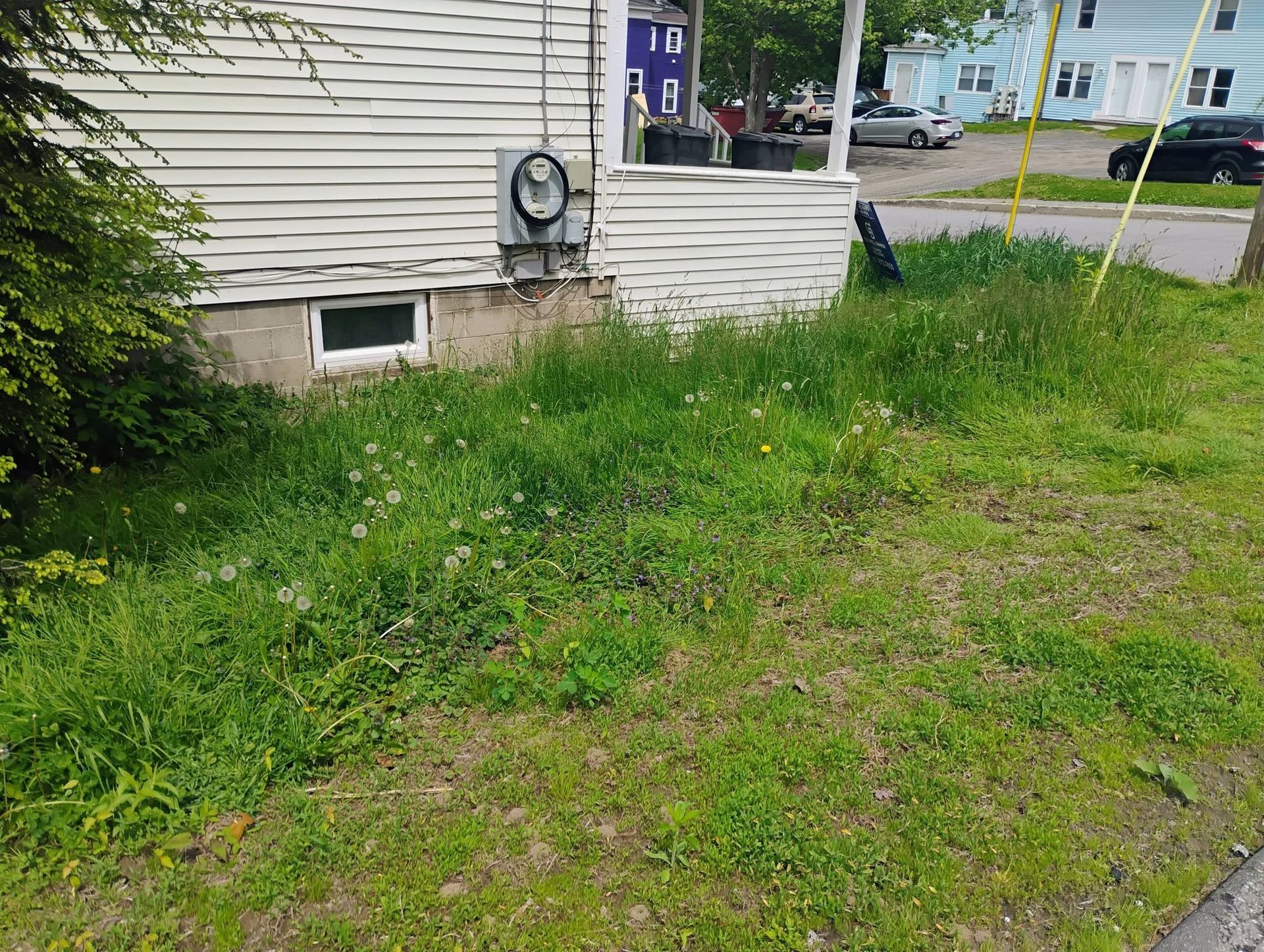 Overgrown grassy yard beside a house with utility meter and white siding, near a street corner.