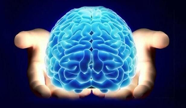 Una persona tiene un cerebro azul en sus manos