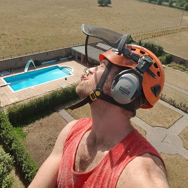 tree services example 12