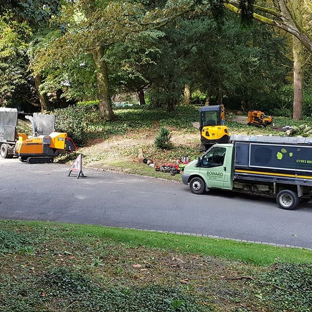 tree services example 14