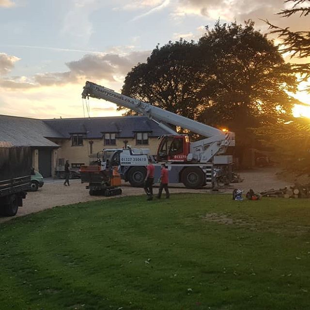 tree services example 15