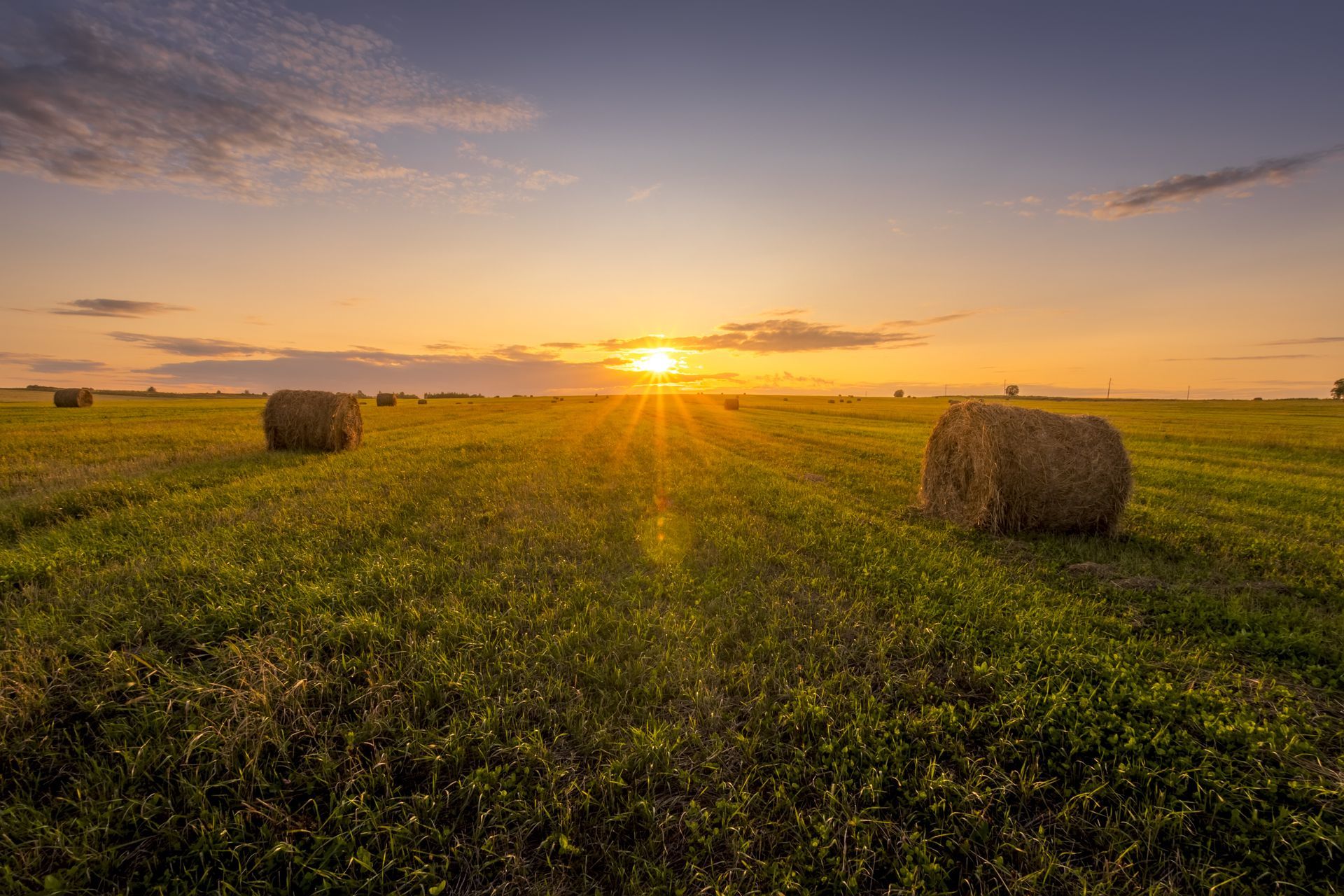 Hay bales in a lush green field under a golden sunset sky.