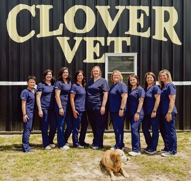A group of women standing in front of a clover vet sign