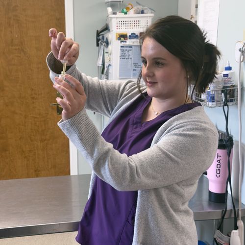 A woman in a purple scrub top is holding a snake in her hands.