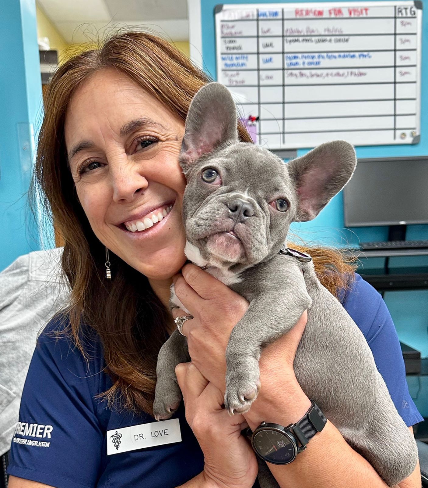 A woman is holding a french bulldog puppy in her arms.